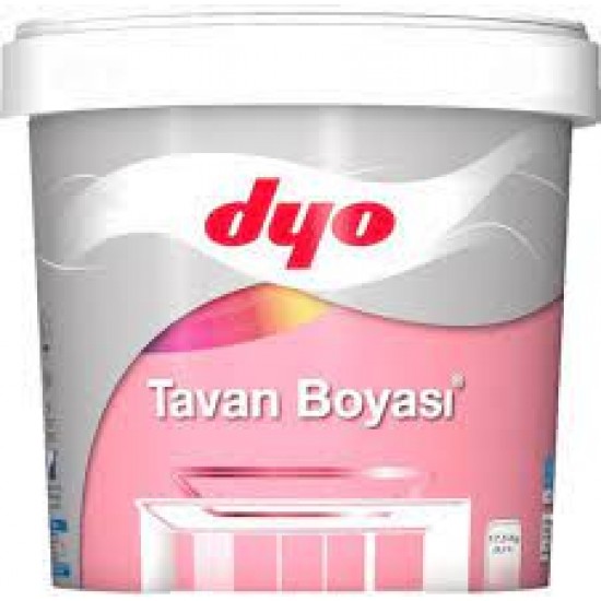 DYO TAVAN BOYASI 17,5 KĞ 